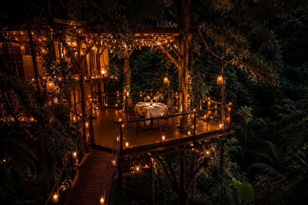 Cozy treetop dinner under the stars.webp