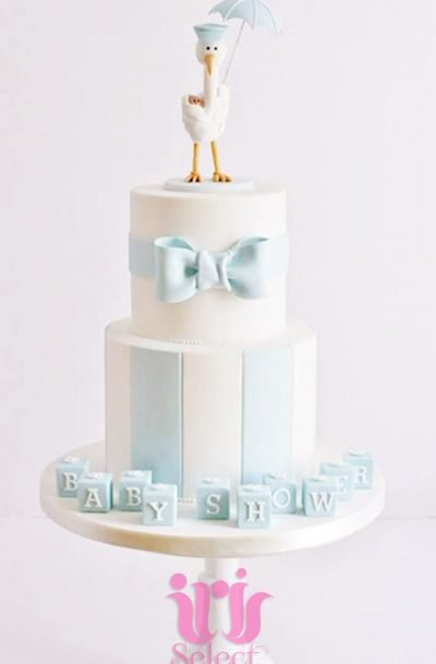 Baby Blue Two Tiered Stork Cake