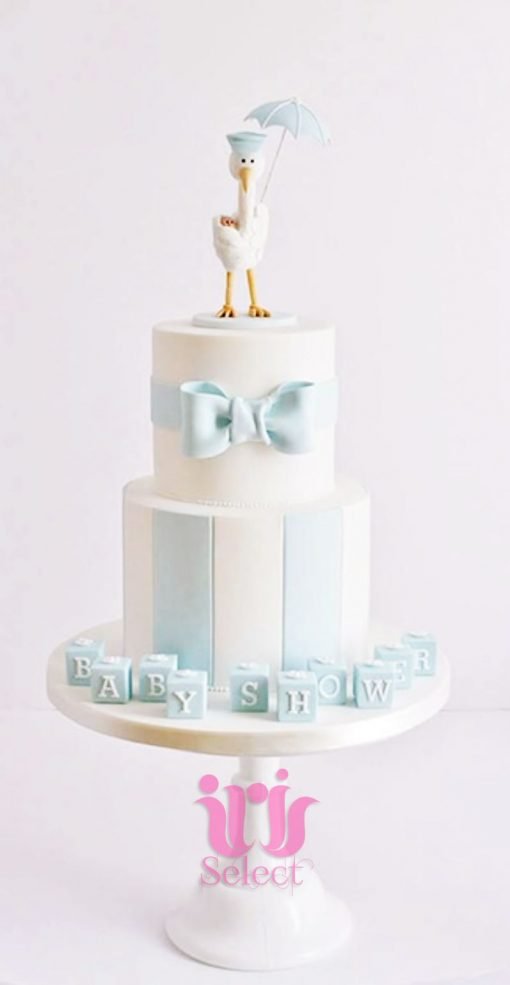 Baby Blue Two Tiered Stork Cake