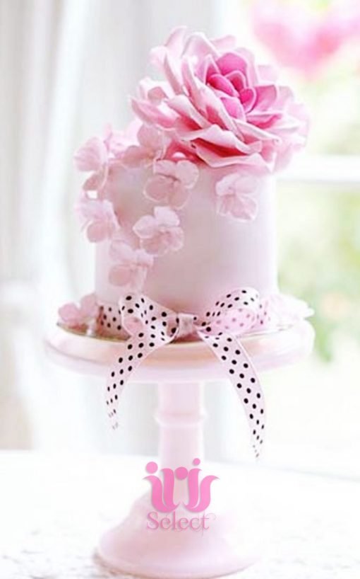 Dainty Pink Flower Cake